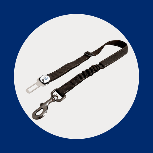 Dog Seat Belt For Car