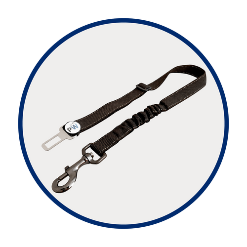 Dog Seat Belt