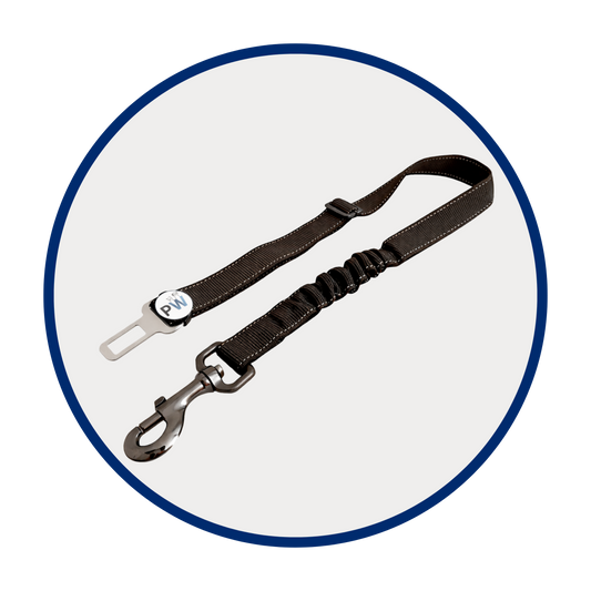 Dog Seat Belt